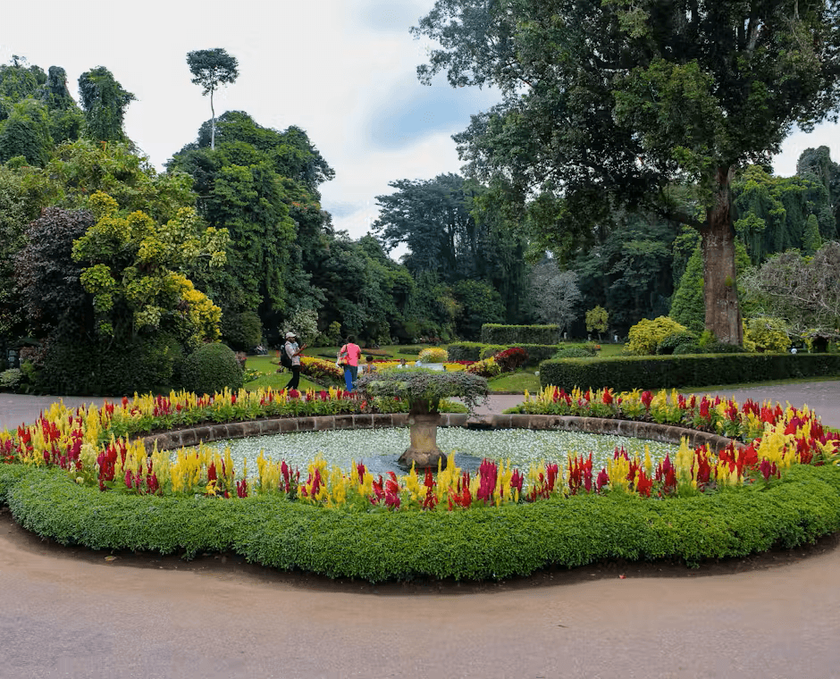 Peradeniya Botanical Gardens