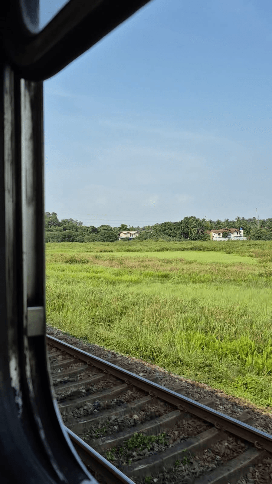 Scenic Train Journey to Kandy